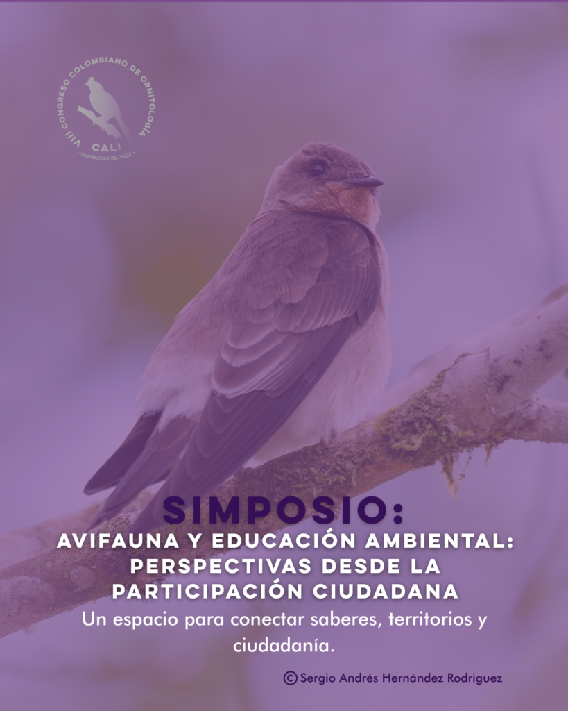 EDUCACION AMBIENTAL