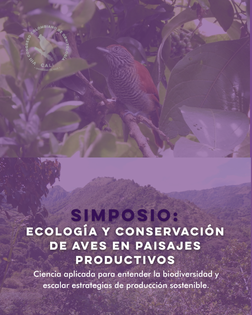 PAISAJES PRODUCTIVOS